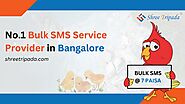 No.1 Bulk SMS Service Provider in Bangalore