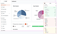 Productivity Monitoring Software