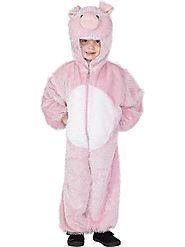 Website at http://www.partyworld.ie/boys-pig-costume/30775/