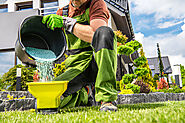 Lawn Fertilizing Services in Calgary - Evergreen Ltd