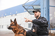 Dog Unit Security | Professional K9 Security Services | K9 Handlers