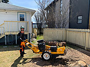 Stump Grinding Services | Calgary | Evergreen Ltd