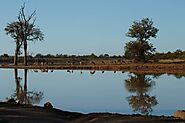 3 Day Kruger Safari From Johannesburg