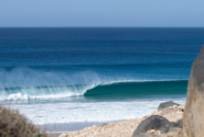 Notizie sul surf a Fuerteventura