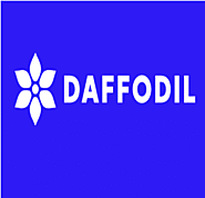 Daffodil Health Secures $4.6M Seed Funding to Automate Healthcare Pricing and Reduce Administration Costs - Next Digi...