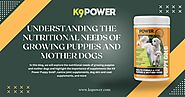 Understanding the Nutritional Needs of Growing Puppies and Mother Dogs