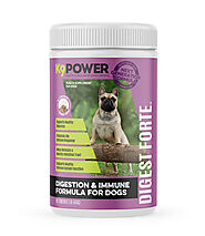 Digest Forte for Dogs | Enhance Digestive Health Naturally