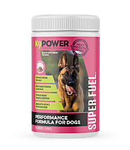 Shop Super Fuel by K9 Power to Boost Your Dog's Energy