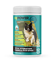 Go Dog Hydration Formula – Energize & Hydrate Active Dogs