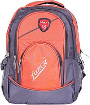 Fancy 16 inch Laptop Backpack