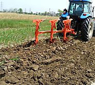 5 Ways To Increase The Soil Quality