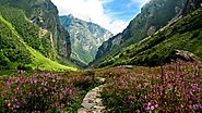 Valley of Flowers Trek: A Floral Wonderland