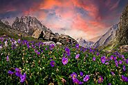 Valley of Flowers Trek