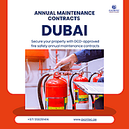 Protect Your Property: Get DCD-Approved Fire Safety Maintenance Now