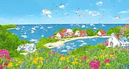 Frequently Asked Questions (FAQ) About Martha's Vineyard, MA, USA