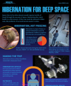 Hibernation for Space Exploration (Infographic)