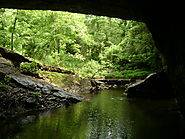 Natural Tunnel Trail at Bennet Spring State Park
