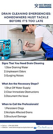 Drain Cleaning Emergencies: Homeowners Must Tackle Before It's Too Late