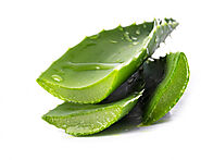 Aloe Vera Skincare