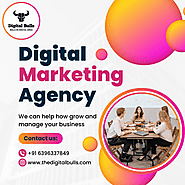 The Digital Bulls is The Best Digital Marketing Agency in India