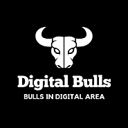 The Digital Bulls: Your Go-To Digital Marketing Company in Noida