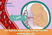 Quy Trình Thực Hiện Xét Nghiệm ADN Huyết Thống Thai Nhi Không Xâm Lấn: Những Điều Bạn Cần Biết