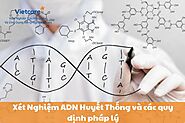 Xét Nghiệm ADN Huyết Thống Thai Nhi và Các Quy Định Pháp Lý Tại Việt Nam