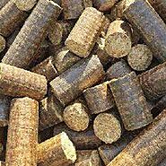 Biomass Briquettes - Biomass Energions India