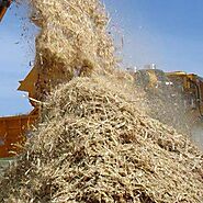 Loose Biomass - Biomass Energions India