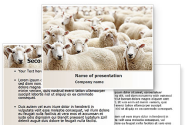 Sheep Flock PowerPoint Template
