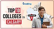 Top Colleges in Calgary: Admission Process, Scholarships