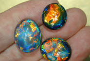 The Black Opal