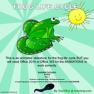 Frog Life Cycle Animated PowerPoint - TeachEzy