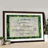 Printed Tree Certificate in Wooden Frame – Grow Billion Trees