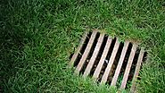 The Connection Between Residential Drainage and Pest Prevention