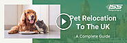 Pet Relocation To The UK – A Complete Guide