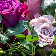 tips for choosing the best online florist