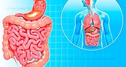 GI tract health Fulshear TX