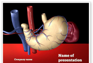 Digestive System PowerPoint Template