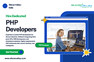 Hire Expert PHP Developers for Your Custom Web Solutions