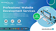 Elevate Your Business with Expert Web Development! 🌐🚀