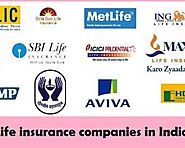 Top 8 Life Insurance Companies in India - Tackk