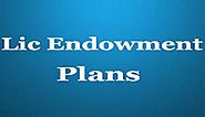 All about LIC Endowment Plus Plan
