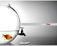 Top 3 Insurance Based Tax Saving Investments - Tackk