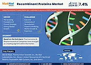 Global Recombinant Proteins Market Research Report: Forecast (2024-2030)