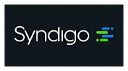 SaaS Commerce Data Management Solutions | Syndigo