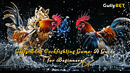 GullyBET Cockfighting Game: A Guide for Beginners