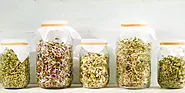 Health Benefits of Sprouted Seeds | Growing Sprouts at Home - Sreeja