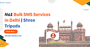 No.1 Bulk SMS Services in Delhi | Shree Tripada