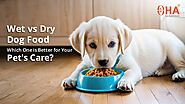 Wet or Dry Dog Food? Find Out Which is Best for Your Pet’s Care